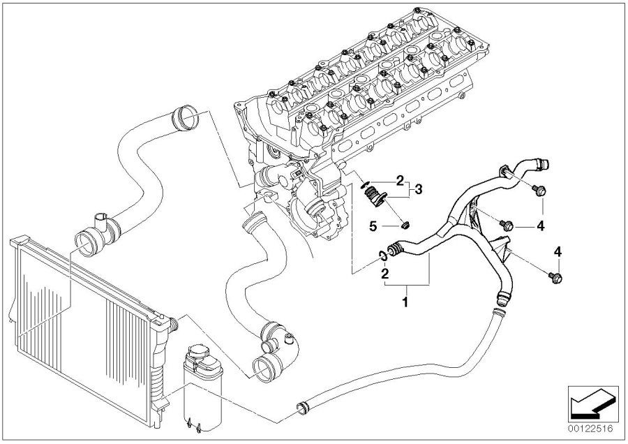 Diagram Cooling System Water Hoses for your 2000 BMW 540i   