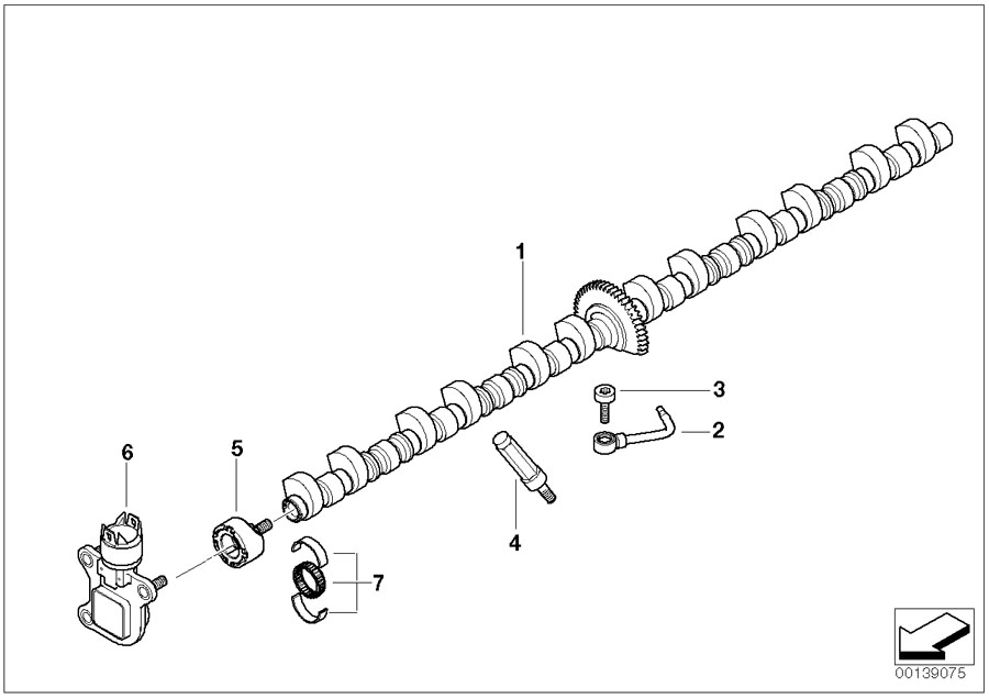 Diagram Valve timing gear, eccentric shaft for your 2013 BMW 328xi   