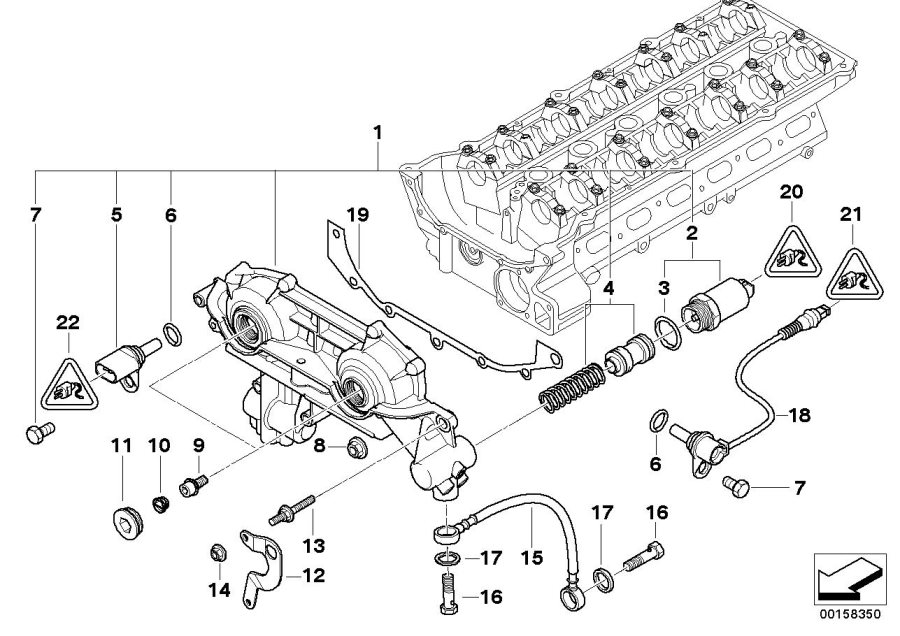 Diagram Cylinder Head Vanos for your BMW