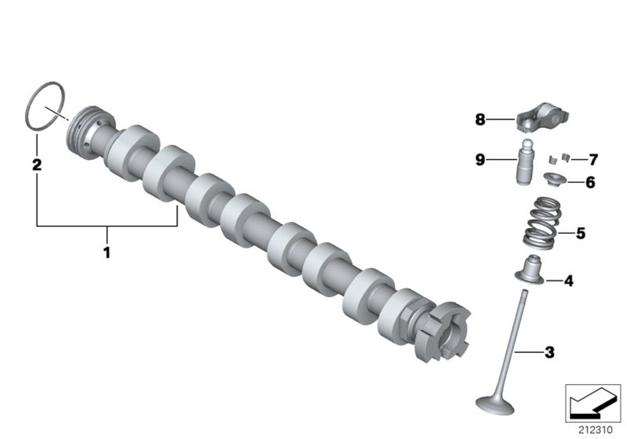 Diagram Valve timing gear, camshaft, inlet for your MINI