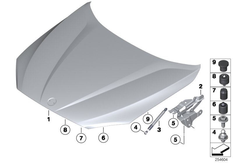 Diagram ENGINE HOOD/MOUNTING PARTS for your 2013 BMW 328iX   