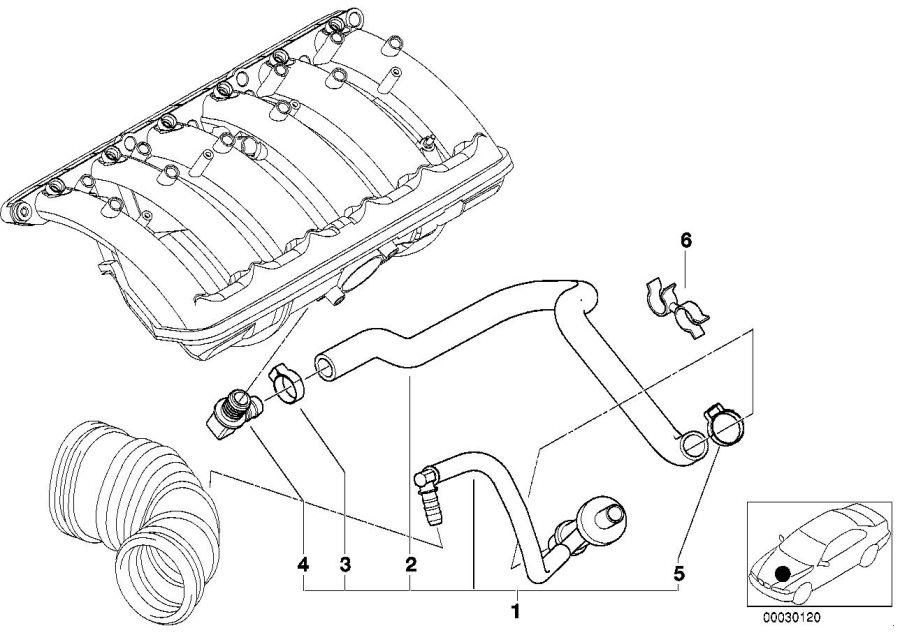 Diagram Vacuum control - engine for your 1996 BMW