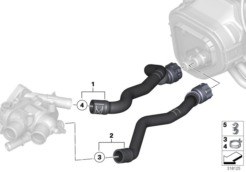 Diagram Water hoses for your MINI