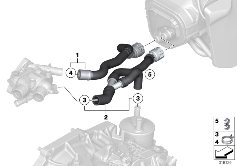 Diagram Water hoses for your MINI