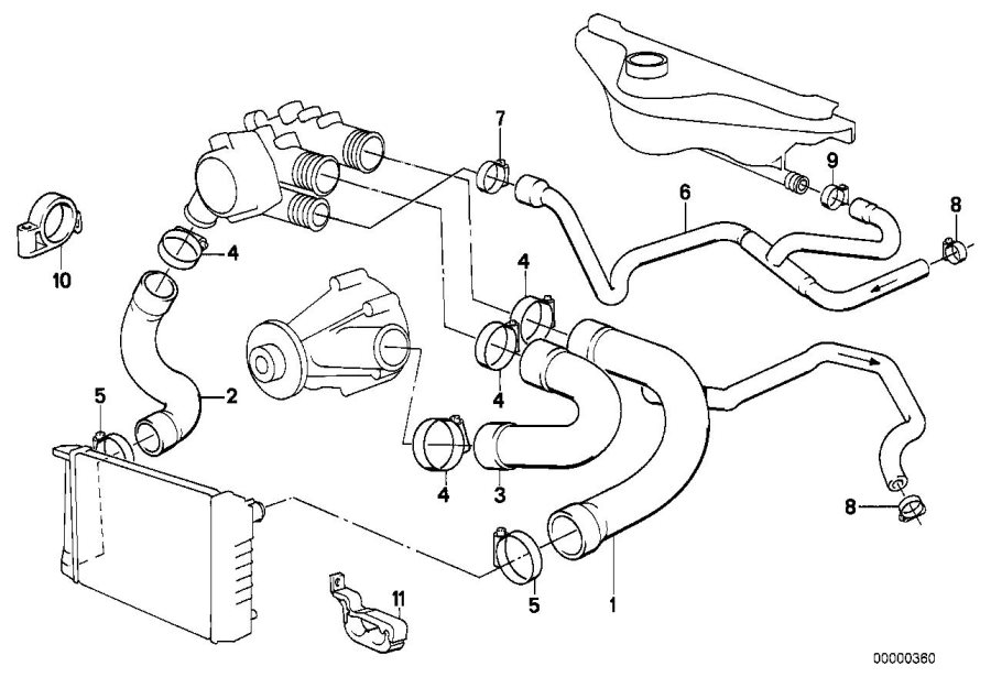 Diagram Cooling System Water Hoses for your BMW