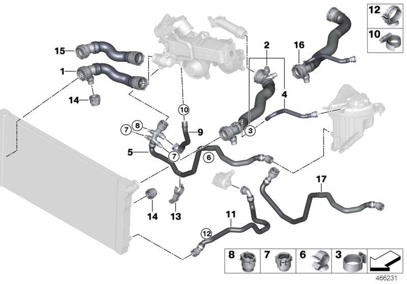 Diagram Cooling system coolant hoses for your BMW