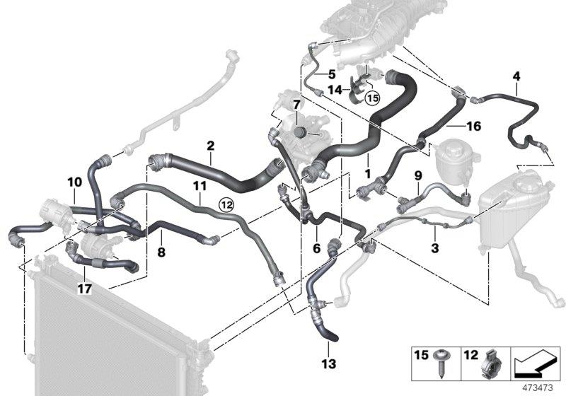 Diagram Cooling system coolant hoses for your BMW