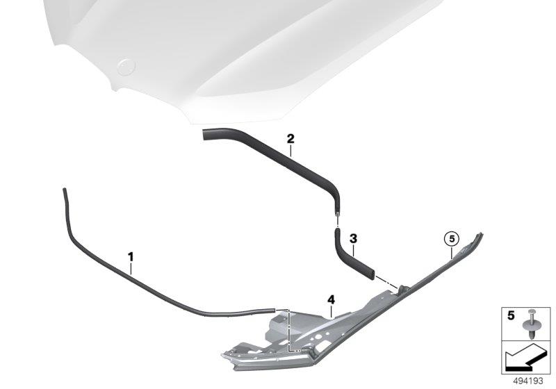 Diagram Hood seals for your BMW