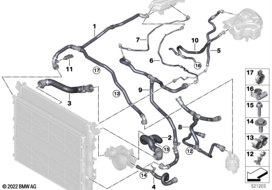 Diagram Cooling system coolant hoses for your BMW