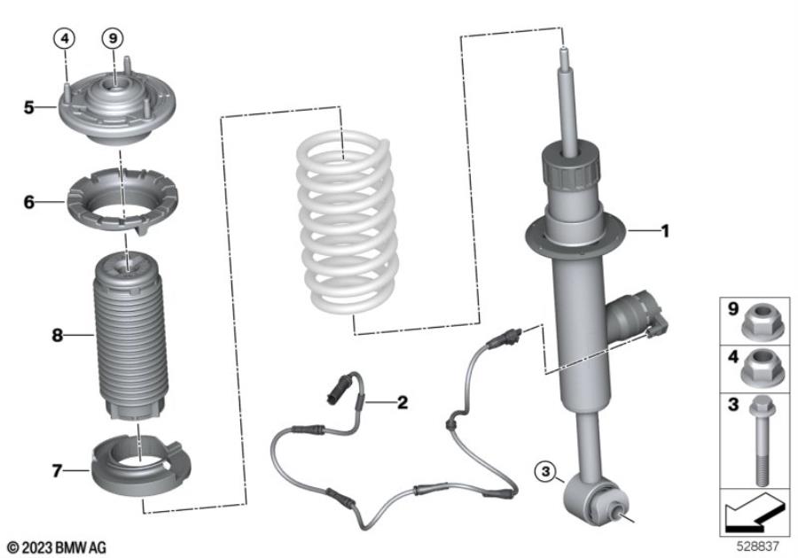 Diagram Spring strut rear / VDC for your BMW