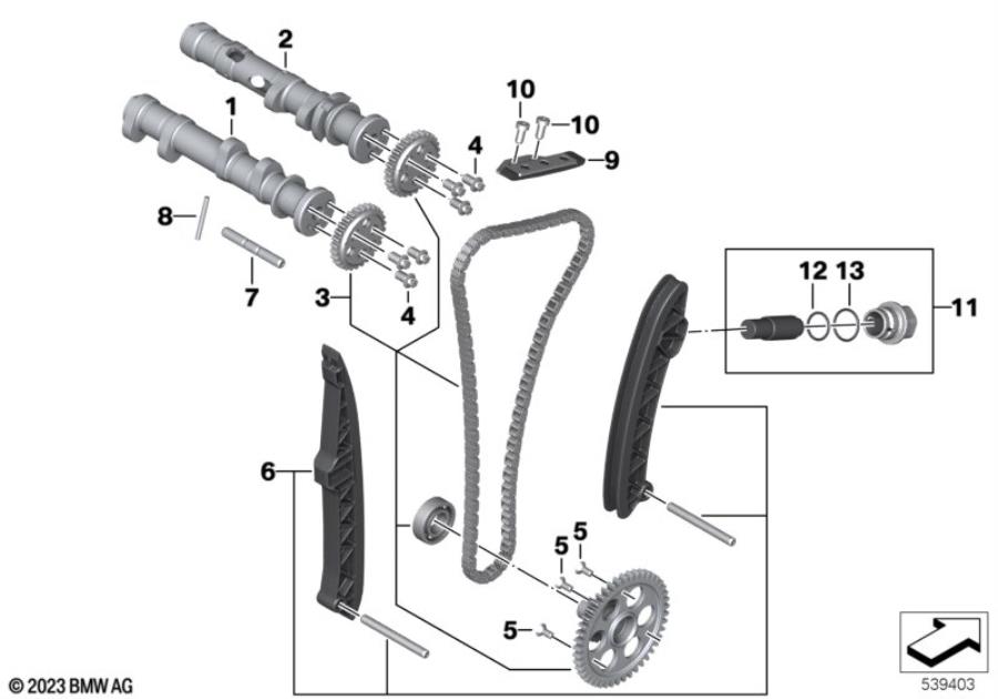 Diagram Camshaft, camshaft gear, timing chain for your BMW