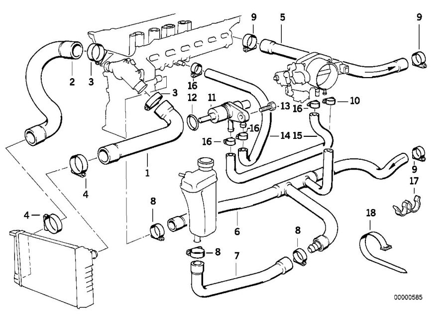 Diagram Cooling System Water Hoses for your BMW