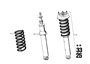 Image of COIL SPRING image for your 2014 BMW M6   