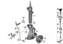 Image of FRONT RIGHT SPRING STRUT image for your BMW