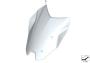 Windshield, tinted (1/1)