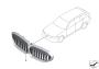 Image of Grill front image for your BMW