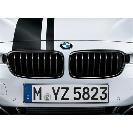 Diagram BMW M Performance Black Kidney Grilles for 3 Series for your 2019 BMW i3s 120Ah  