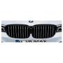 Image of M Performance Black Kidney Grilles Right. image for your 2014 BMW 528iX   