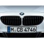 Image of Performance Black Kidney Grille Right. image for your 2014 BMW 528iX   