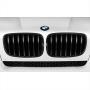 Image of Performance Black Kidney Grille Left. image for your BMW Alpina B7L  