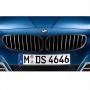 Image of Performance Black Kidney Grille Right. image for your 2014 BMW 528iX   