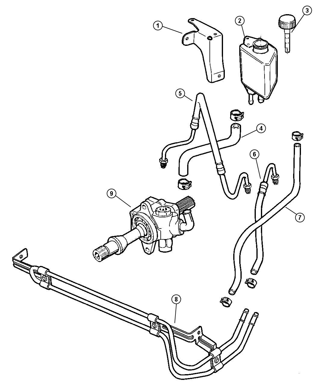 Hoses, Power Steering (ENC). Diagram