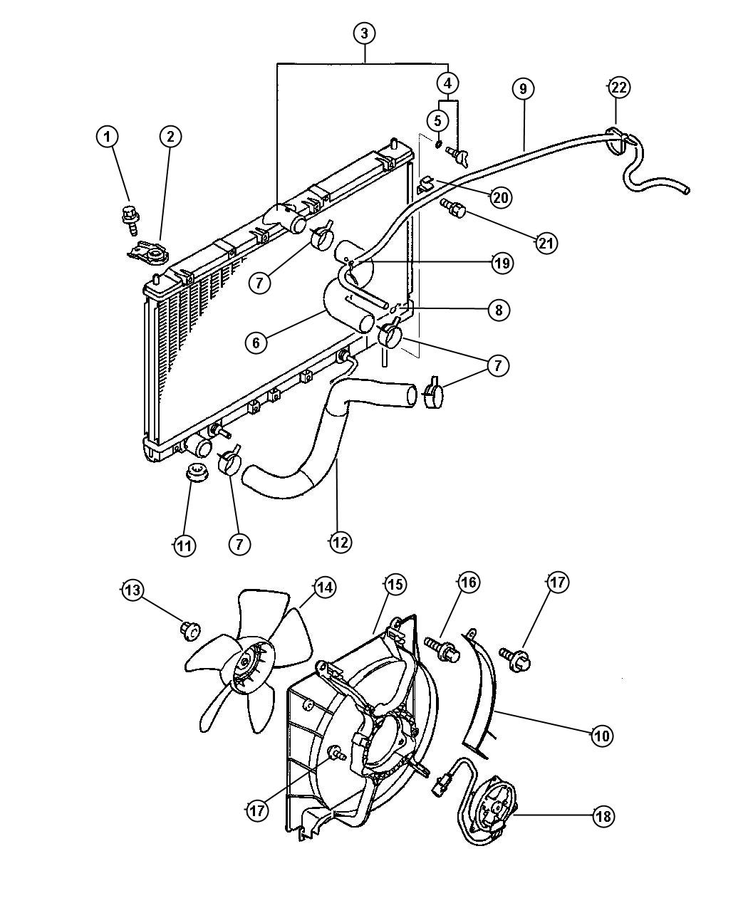 Radiator and Related Parts. Diagram