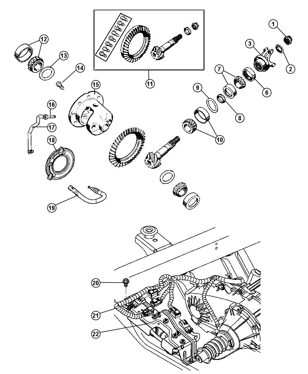 Diagram Differential,With Trulok Differential [Axle - Trulok Differential] Dana 44/226MM [Axle - Rear, Dana 44/226MM]. for your Jeep Wrangler  