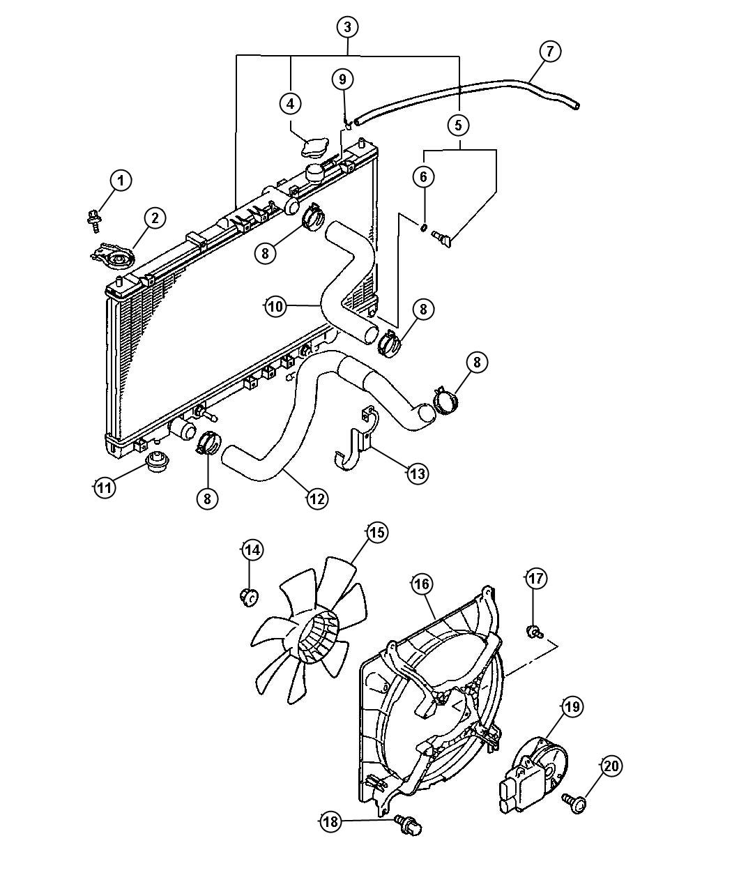 Radiator and Related Parts. Diagram