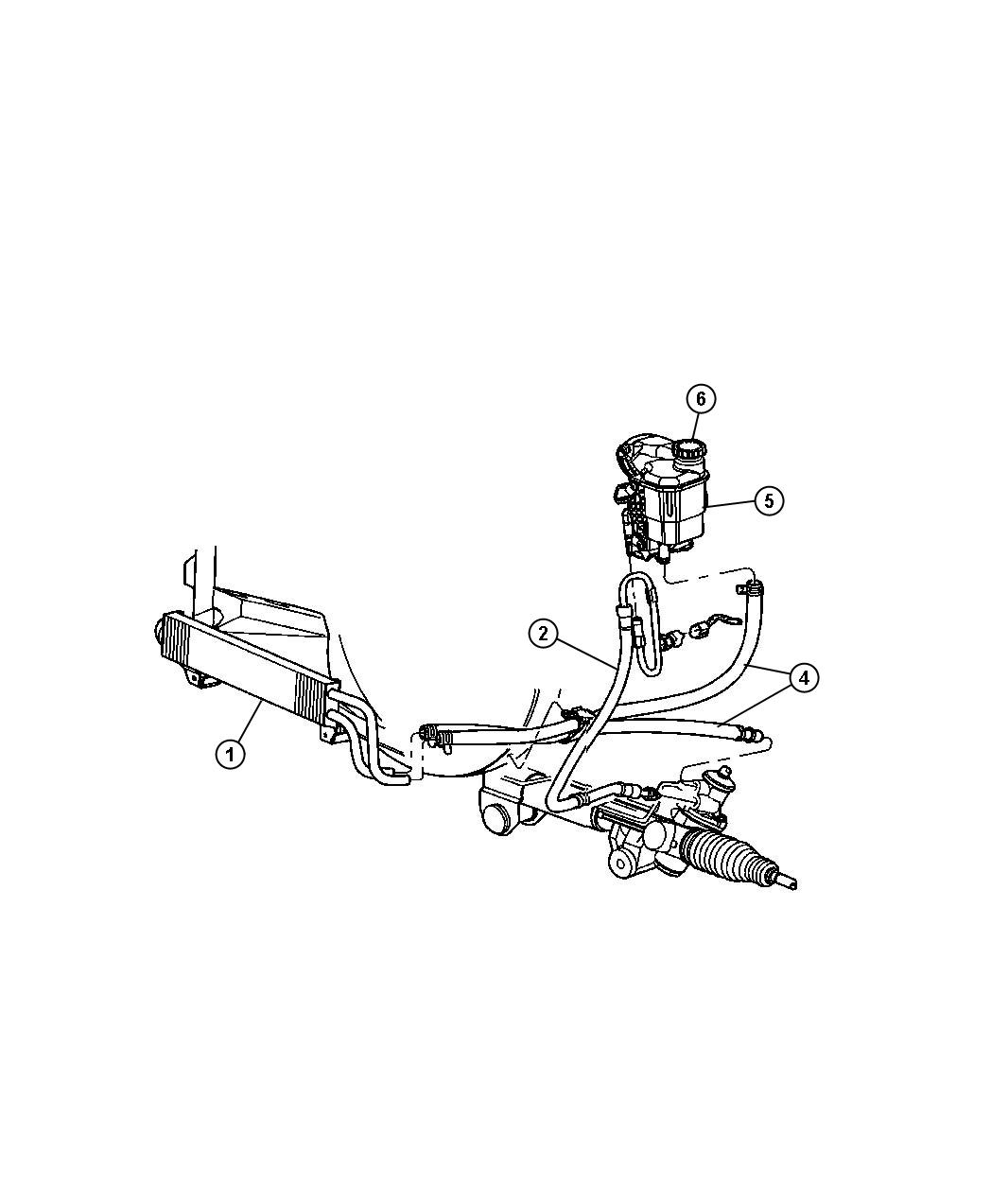 Hoses, Power Steering,All Engines. Diagram