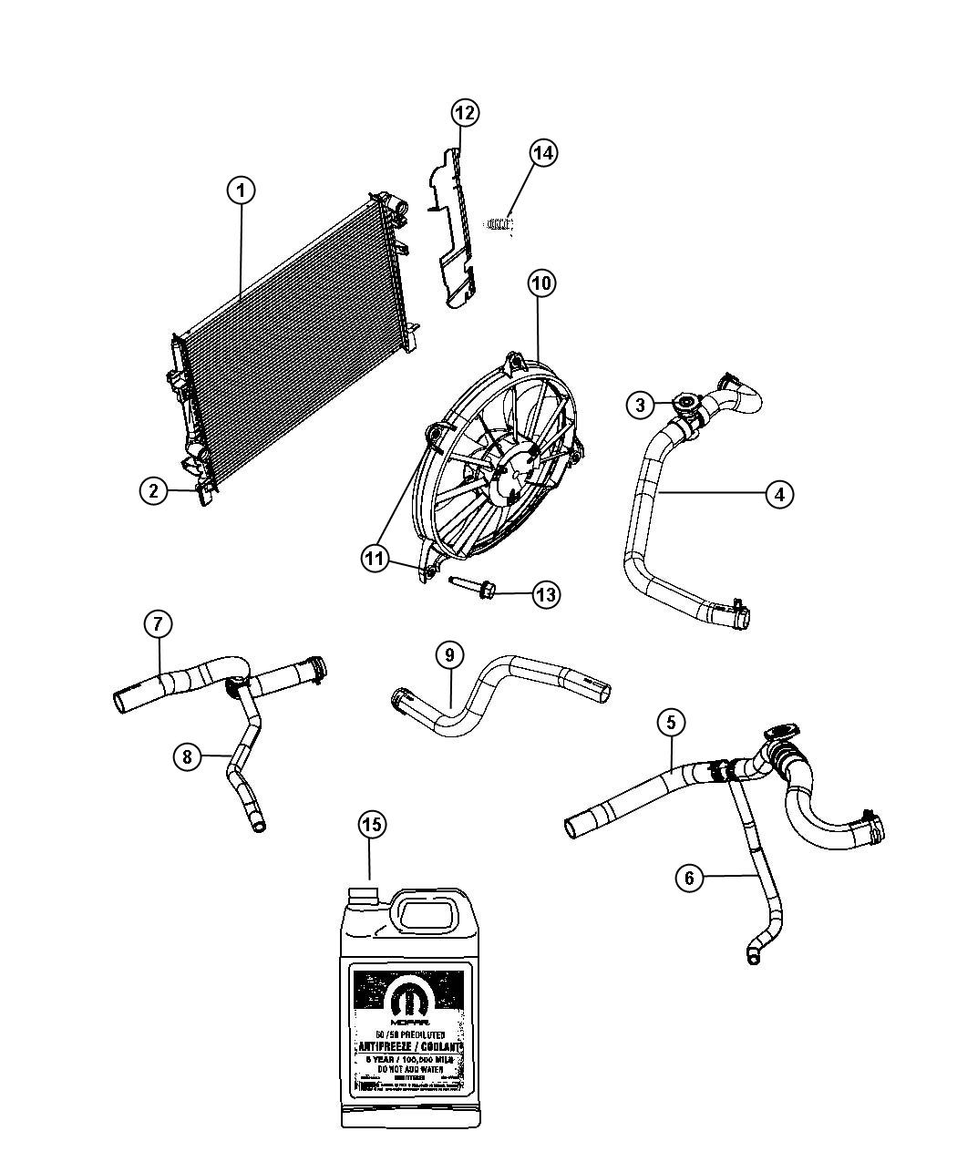 Radiator and Related Parts. Diagram