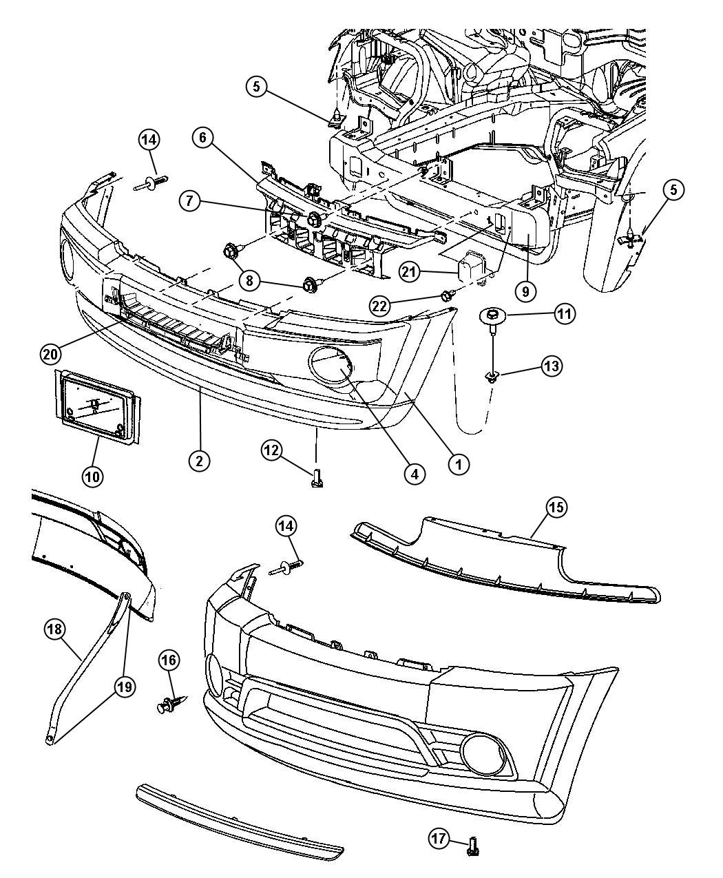 Fascia, Front. Diagram