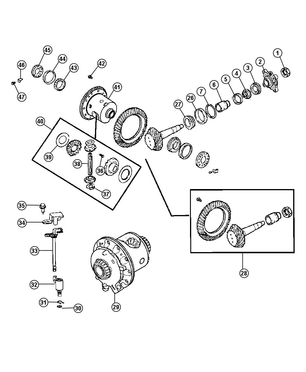 Diagram Differential Assembly. for your Jeep