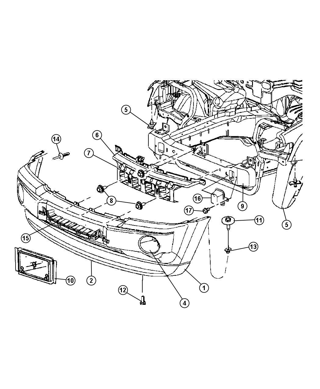 Fascia, Front. Diagram