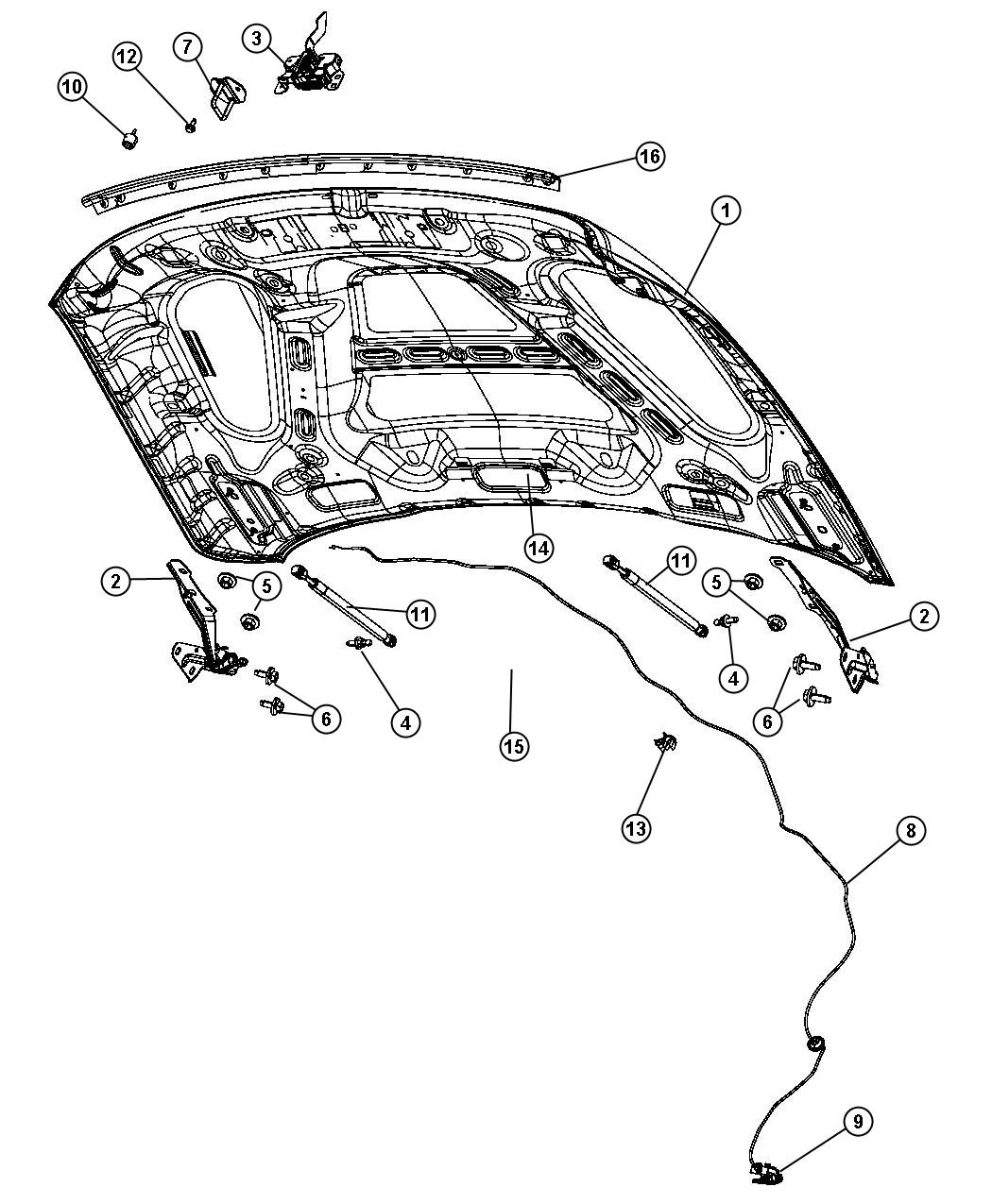 Hood And Related Parts. Diagram