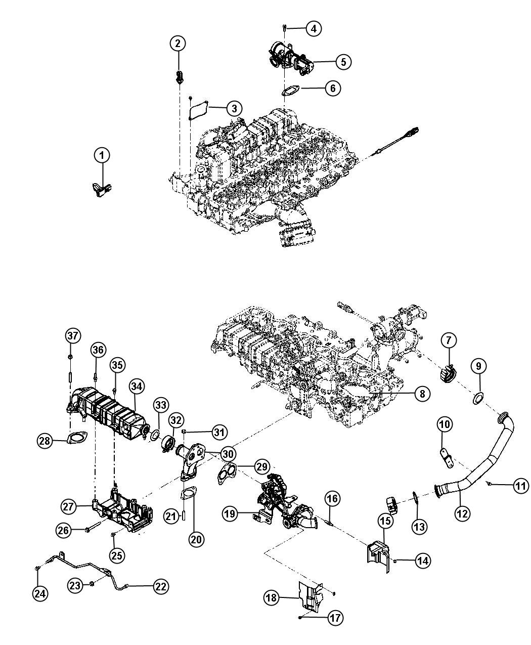 EGR System. Diagram