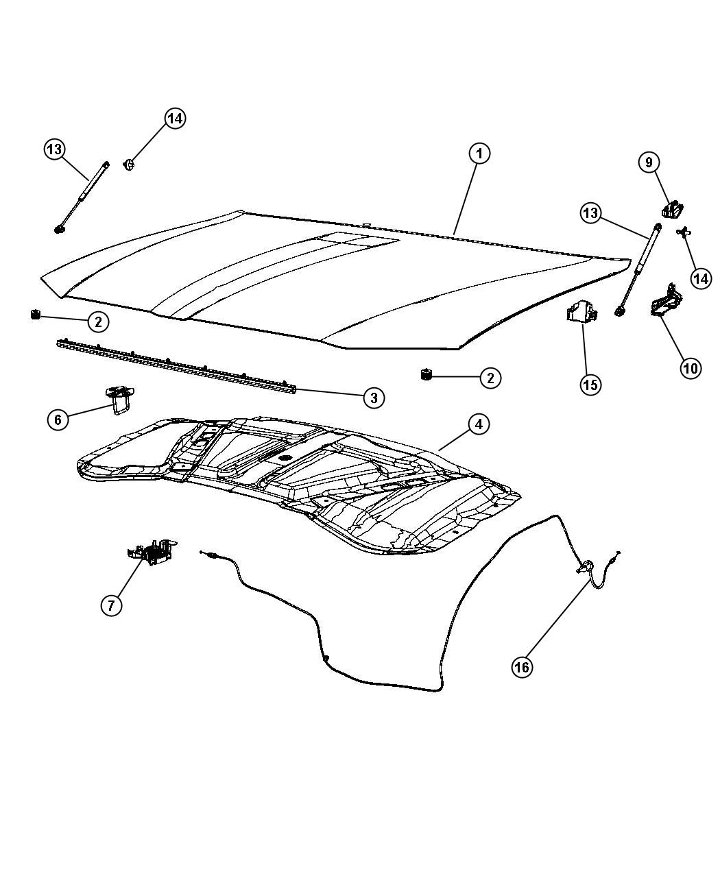 Diagram Hood and Related Parts. for your Dodge