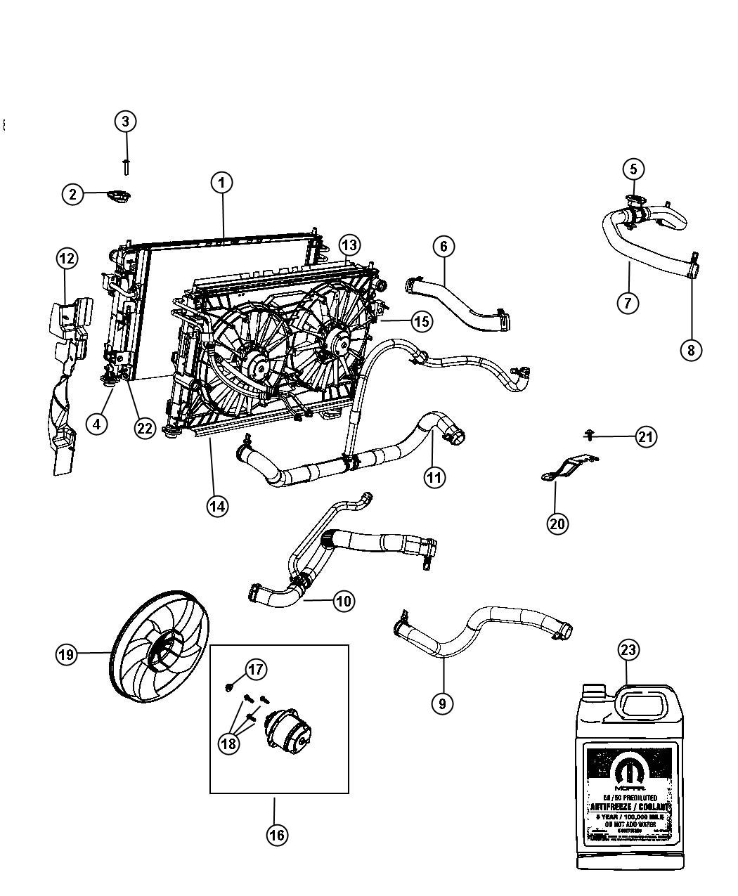 Radiator and Related Parts. Diagram