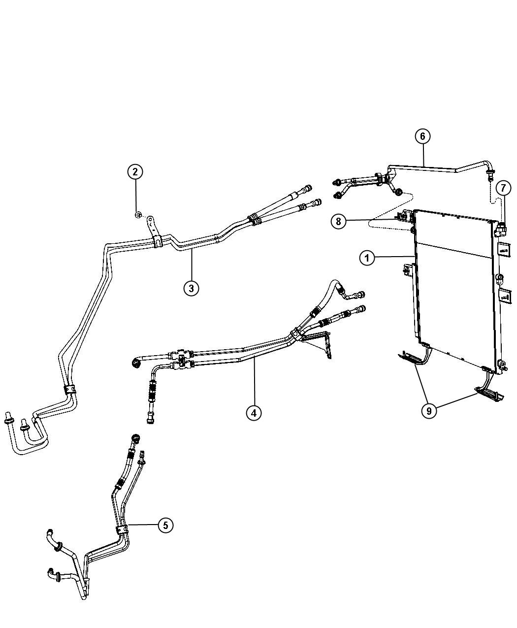 Transmission Cooler and Lines. Diagram