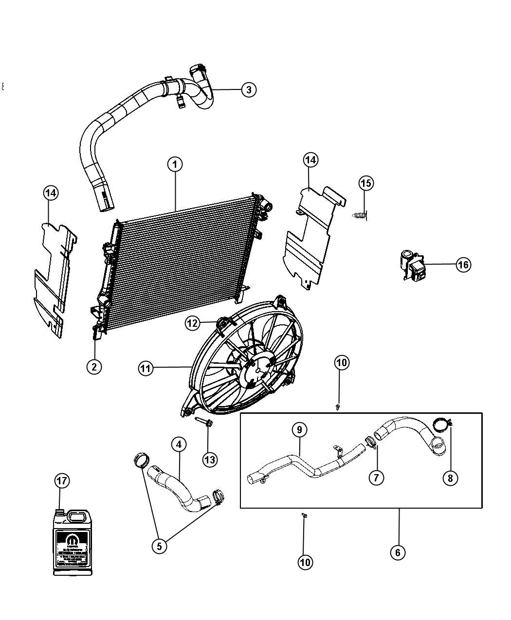 Radiator and Related Parts. Diagram