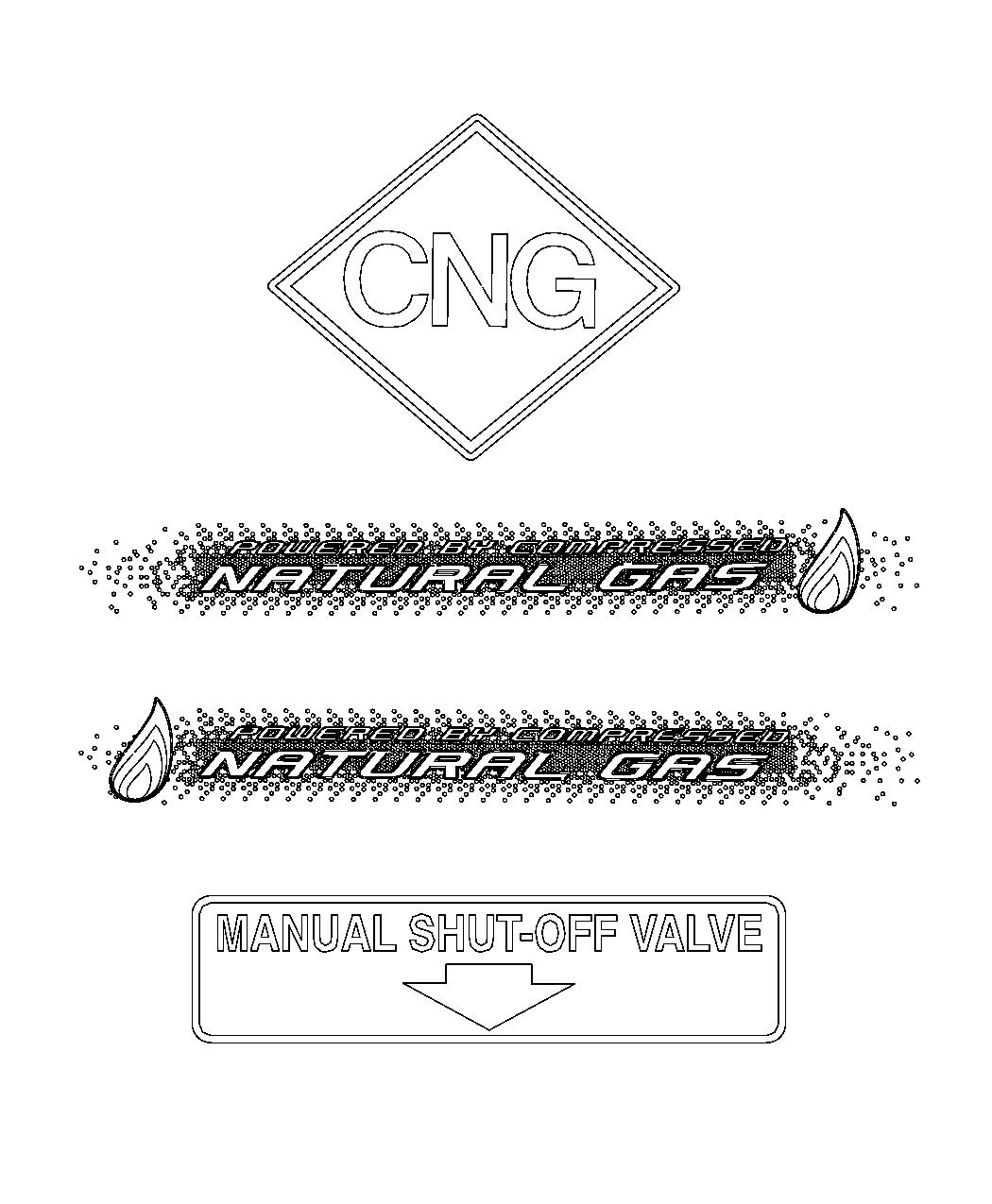 Diagram Decals, CNG. for your 2000 Chrysler 300  M 