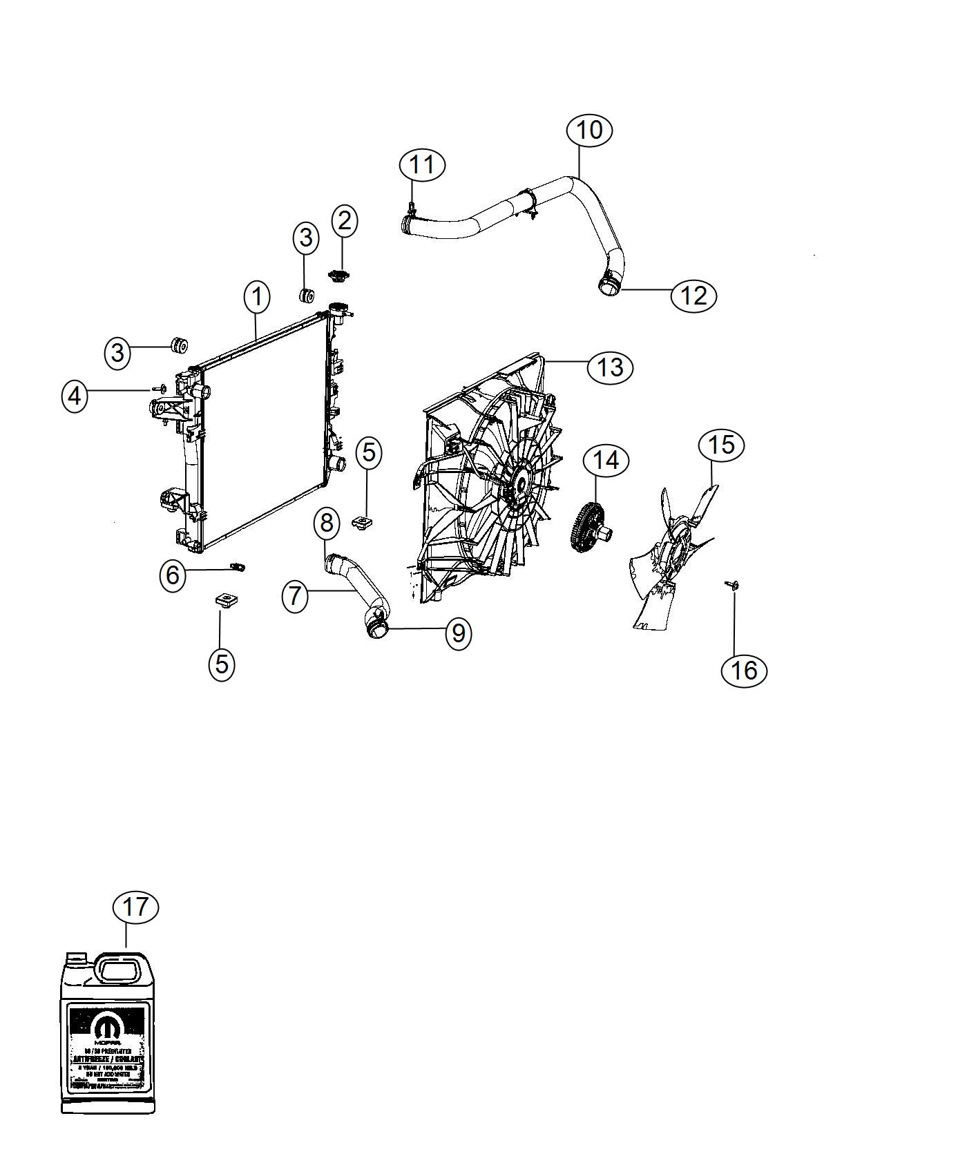 Radiator and Related Parts. Diagram