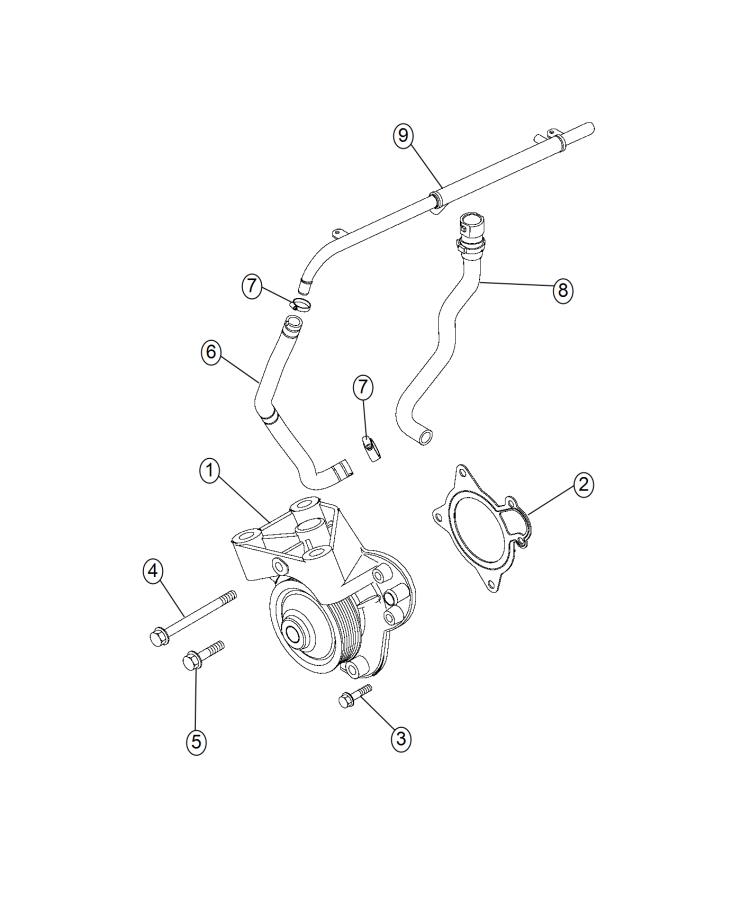 Water Pump and Related Parts. Diagram