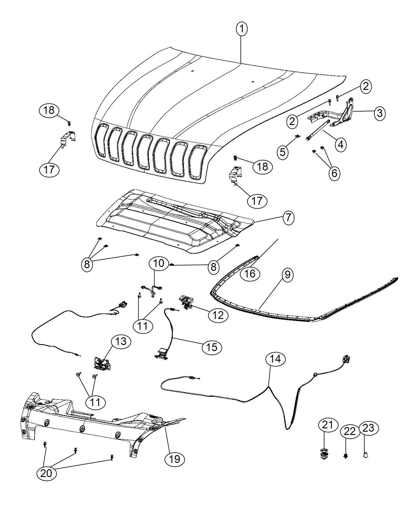 Diagram Hood and Related Parts. for your 2017 Jeep Wrangler   