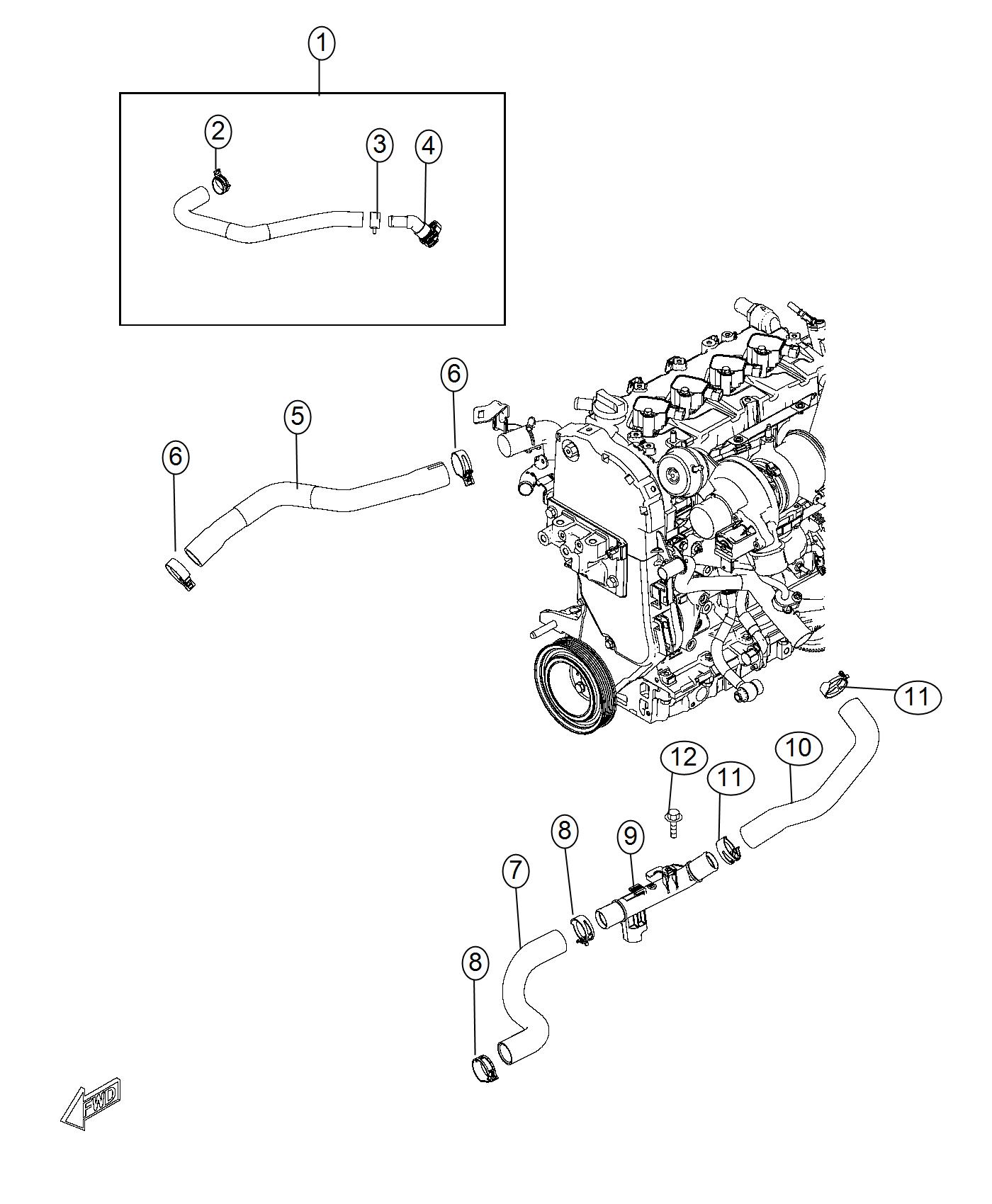 Radiator Hoses And Related Parts. Diagram