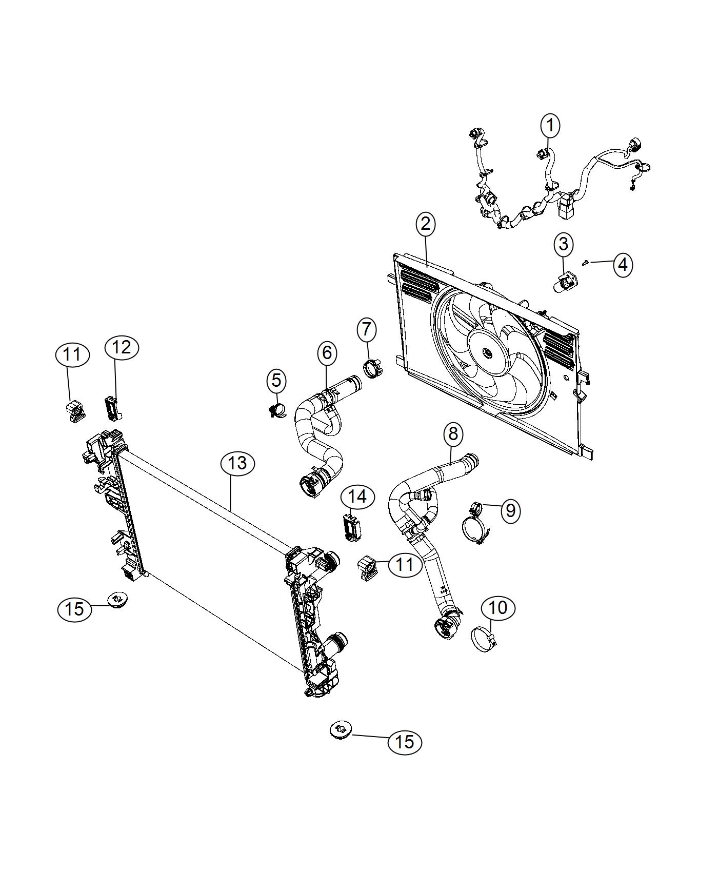 Radiator and Related Parts. Diagram