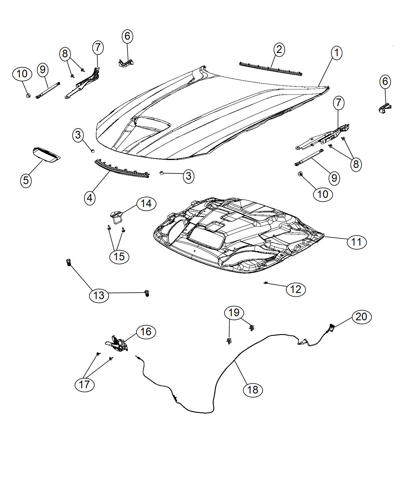 Diagram Hood and Related Parts. for your Dodge