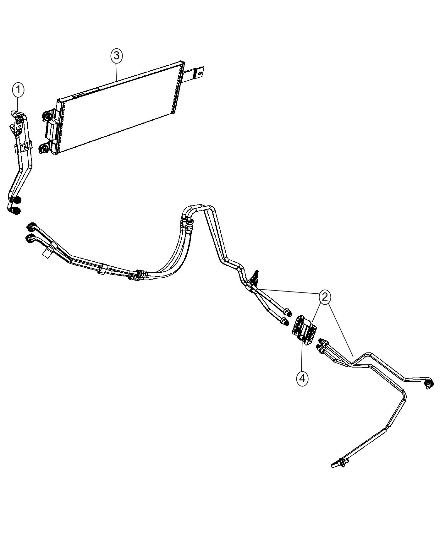 Diagram Transmission Oil Cooler and Lines. for your 2002 Jeep Wrangler   