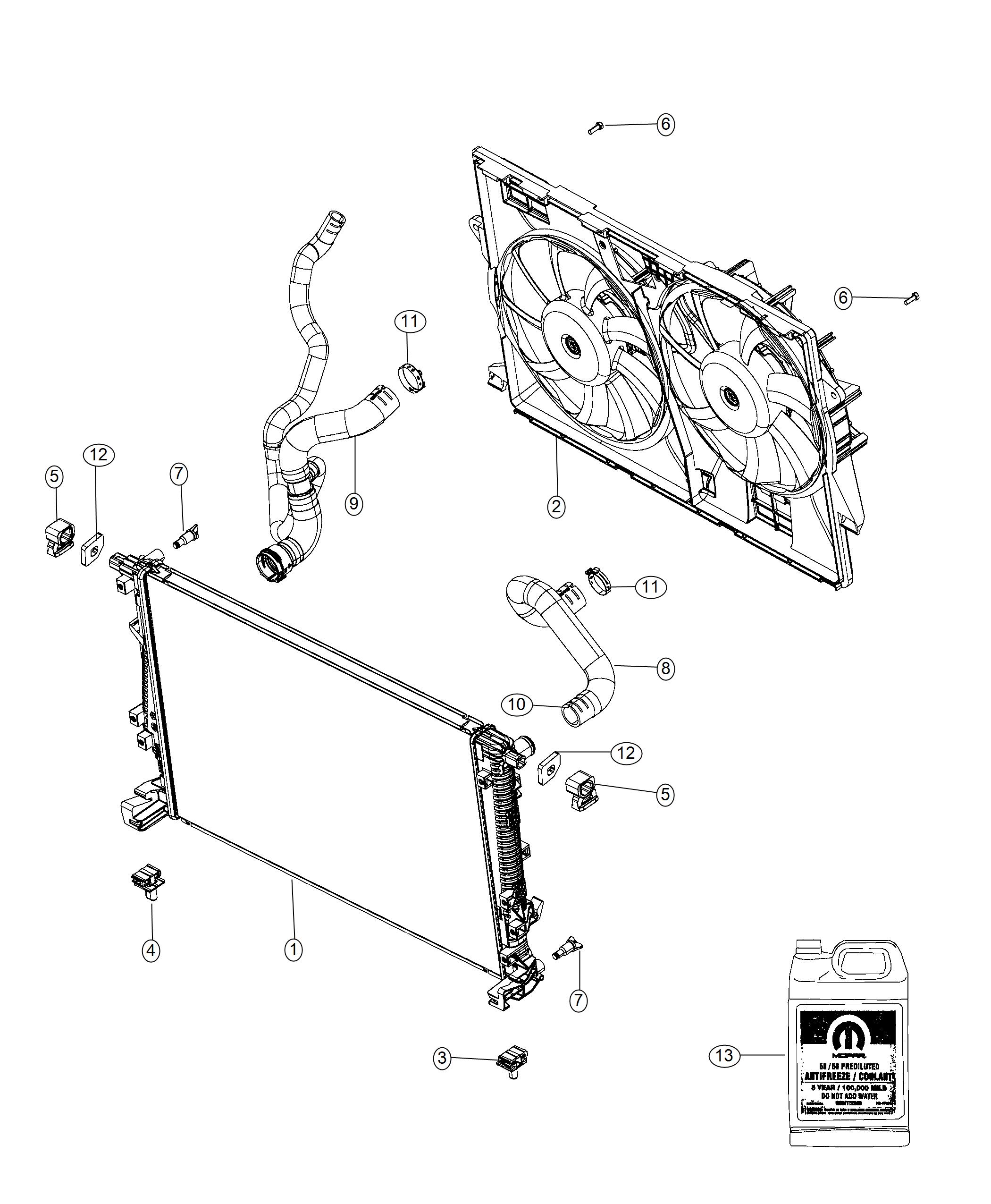 Radiator and Related Parts. Diagram