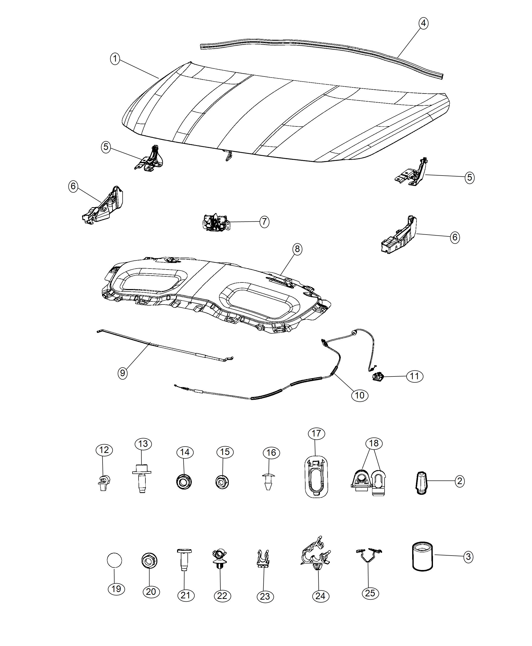 Diagram Hood And Related Parts. for your 2021 Dodge Charger   